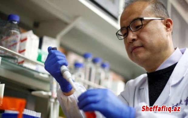 Koronavirus peyvəndinə ehtiyac olmaya bilər — Çinli alimlərin yeni kəşfi