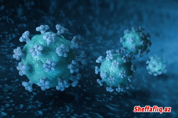 Mövsümi istilər koronavirusu yox edəcək? — AÇIQLAMA