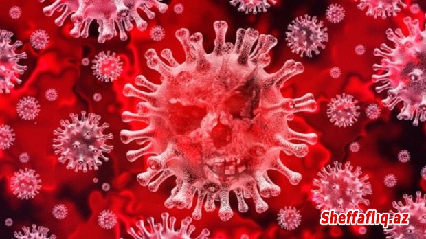 Azərbaycanda 338 yeni koronavirus faktı aşkarlandı, 6 nəfər öldü