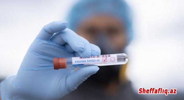 Sumqayıtda daha bir həkim koronavirusdan öldü — Dörd yeni yoluxma