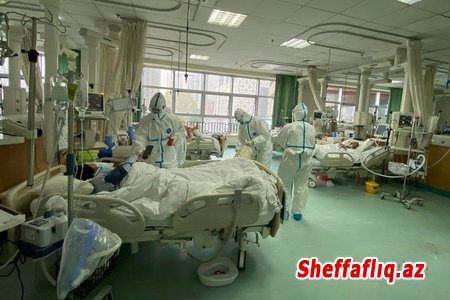Azərbaycanda daha 279 nəfər koronavirusa yoluxub, 592 nəfər sağalıb, 6 nəfər ölüb