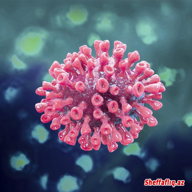 ÜST: Dünyada koronavirusa yoluxanların sayı 18 milyonu ötdü