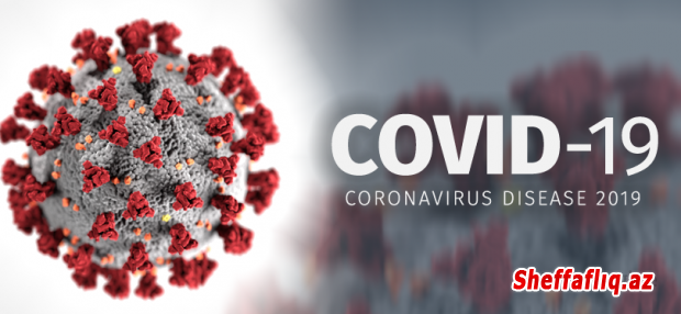 Son sutkada Azərbaycanda koronavirusa 596 yeni yoluxma faktı qeydə alınıb