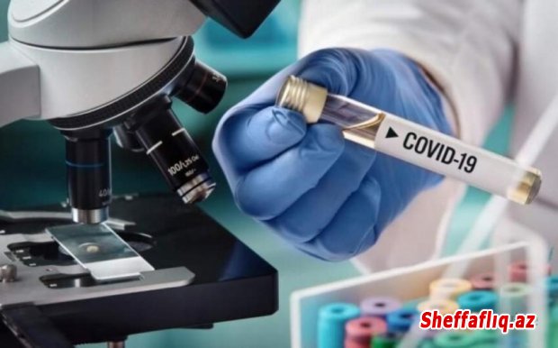 Xorvatiyada koronavirusdan rekord ölüm qeydə alınıb