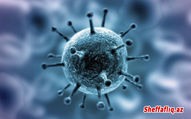 Koronavirusun iki yeni ştammı Avstriyada aşkarlanıb