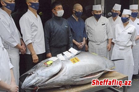 Tokioda keçirilən ilk hərracda mavi tuna balığı 202 min dollara satılıb