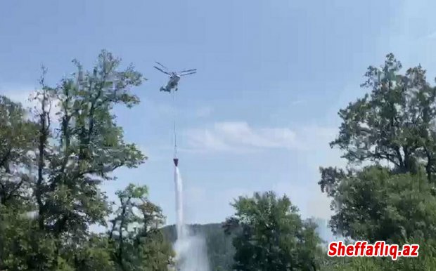 Lənkəranda meşə yanğınının söndürülməsinə helikopter cəlb olunub