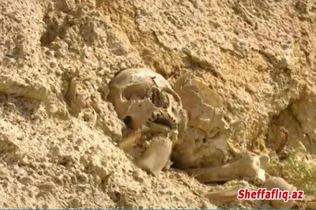 Bakının Yasamal rayonunda 3 ədəd insan skeleti aşkar olunub.