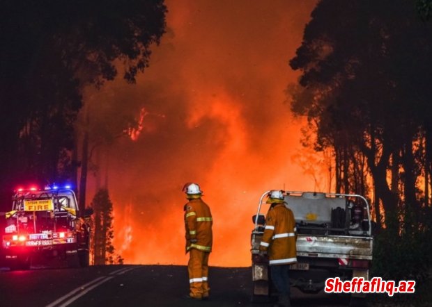 Avstraliyada meşə yanğınları - 60 min hektar sahə kül oldu