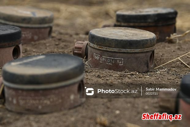 ANAMA: “Ən çox Ermənistanda istehsal olunmuş plastik minalara rast gəlinir” - FOTO