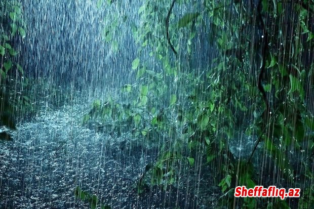 Şimşək çaxıb, qısamüddətli yağış yağıb - FAKTİKİ HAVA