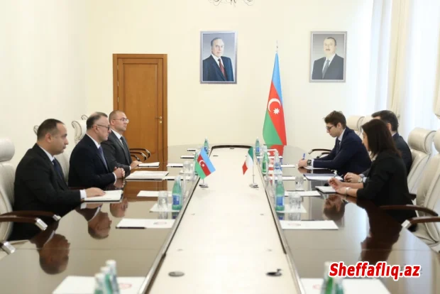 Azərbaycan və İtaliya arasında səhiyyə sahəsində əməkdaşlıq müzakirə olunub