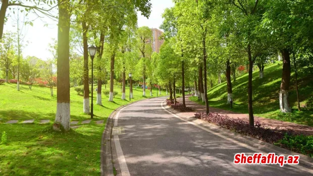 Gürcüstan Azərbaycanla sərhəd zonasında yeni milli park yaradır