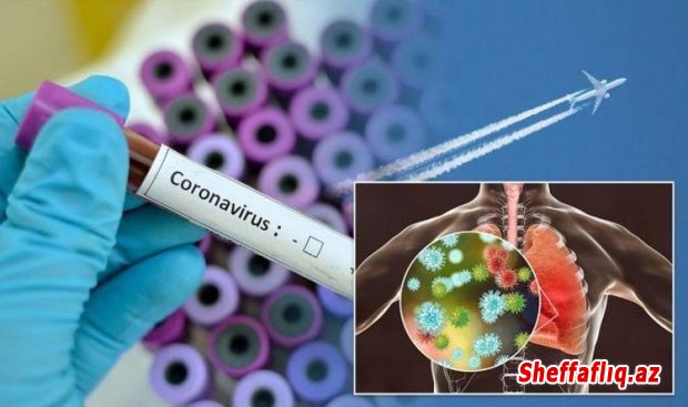 Fransada daha 5 nəfər koronavirusa yoluxdu