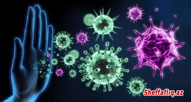 İsmayıllı Rayon İcra hakimiyyəti başçısı Nahid Bağırovun "SARS-CoV-2" virusunun yeni variantı ilə əlaqədar ismayıllılara müraciəti