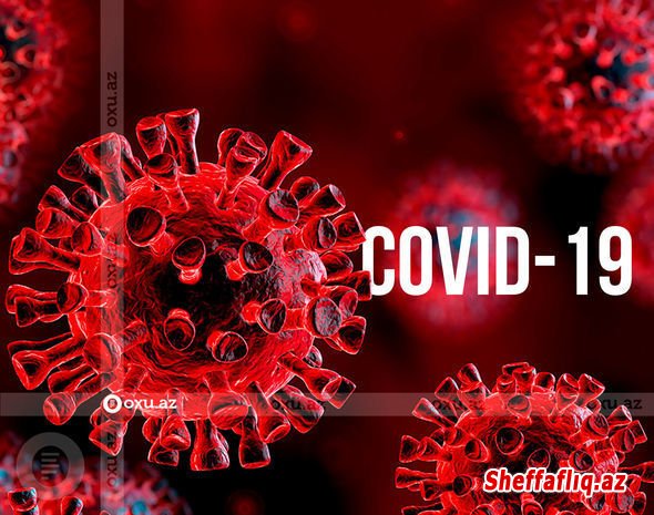 Cənubi Afrikada yeni koronavirus aşkarlanıb