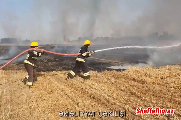Kürdəmirdə dörd hektar biçilmiş taxıl sahəsi yandı