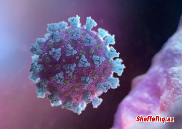 ÜST bir həftədə koronavirusa yoluxmanın 6 faiz azaldığını bildirib