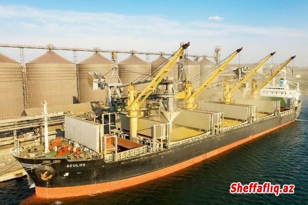Ukrayna limanında 860 ton buğda daşıyan gəmi batdı