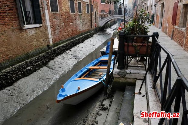 Venesiyanın tarixi kanalları lilli xəndəklərə çevrildi