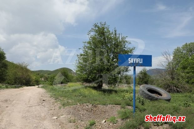Zəngilan rayonunun Şayıflı kəndi - FOTO