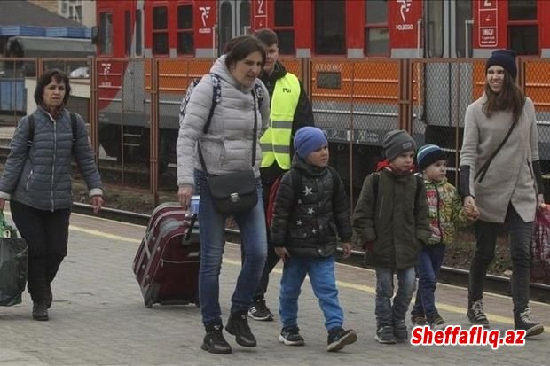 Almaniyaya sığınan azərbaycanlılar Ukraynaya geri qayıdıblar