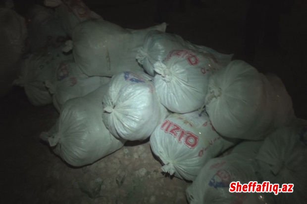 Balakəndə “qara bazar”da dəyəri 600 min manat olan narkotik vasitə dövriyyədən çıxarılıb - FOTO