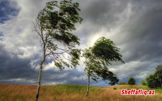 Milli Hidrometeorologiya Xidməti küləkli hava şəraiti ilə bağlı xəbərdarlıq edib