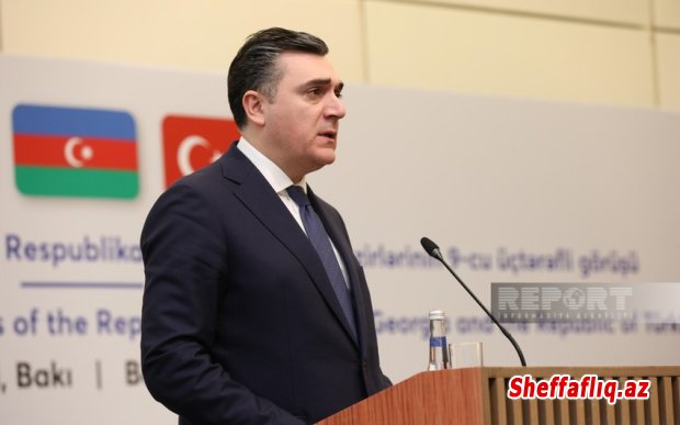 Gürcüstan XİN başçısı: Enerji sahəsində birgə layihələr regionumuzun əhəmiyyətini artırır