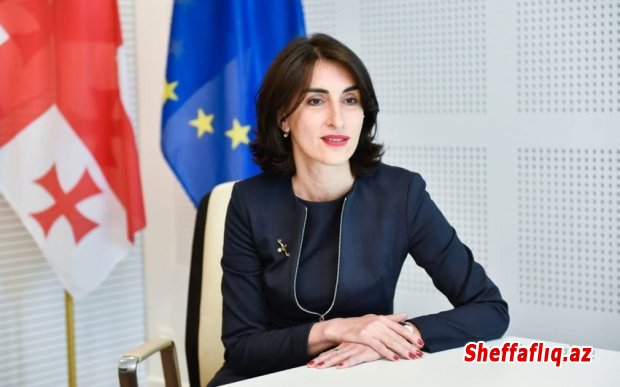 Gürcüstan parlamentinin komitə sədri: "Xarici agentlər” haqqında qanunun qəbulu vacibdir