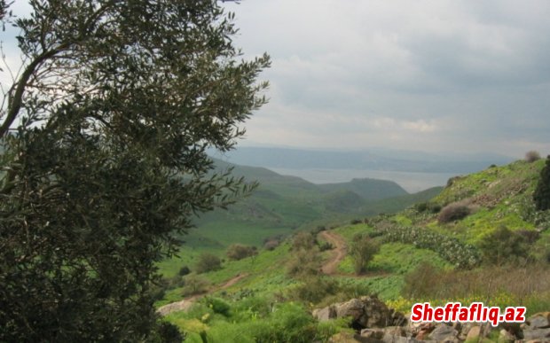 Hermon dağı ərazisində, Qolan təpələri yaxınlığında şübhəli uçan aparat düşüb.