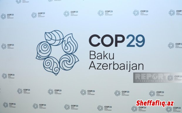 COP29 könüllüləri İçərişəhərdə ekoloji aksiya təşkil edib