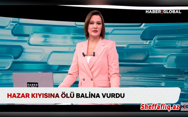 “Haber Global” COP29-da: Türkiyə iqlim gündəmini müəyyən edir və fəaliyyətə çağırır