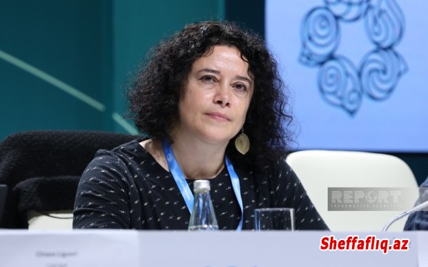 Dövlətlər iqlim dəyişikliyinin mənfi təsirinin qarşısının alınmasına görə məsuliyyət götürməlidir