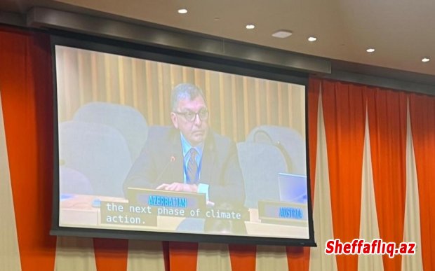 BMT-də COP29-da əldə edilən mühüm nailiyyətlər vurğulanıb BMT-də COP29-da əldə edilən mühüm nailiyyətlər vurğulanıb