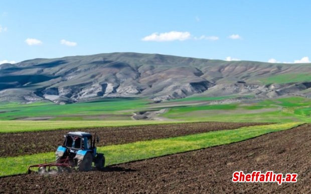 ƏMDX torpaqların kateqoriyasına dair müraciətlərə baxılması barədə təlimat hazırlayıb