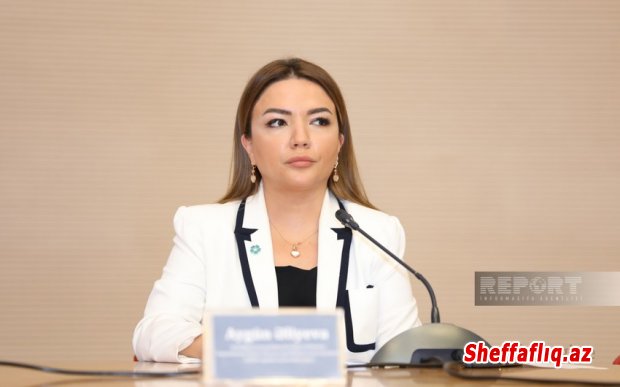 BMT-nin İnsan Hüquqları Şurasında Qərbi Azərbaycanla bağlı tədbir keçiriləcək BMT-nin İnsan Hüquqları Şurasında Qərbi Azərbaycanla bağlı tədbir keçiriləcək