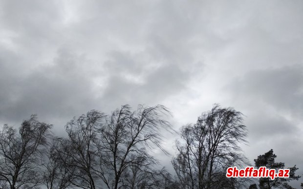 FHN gözlənilən hava şəraiti ilə əlaqədar əhaliyə müraciət edib FHN gözlənilən hava şəraiti ilə əlaqədar əhaliyə müraciət edib