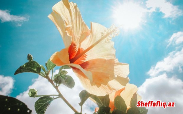 Sabah havanın temperaturu 27 dərəcəyədək yüksələcək Sabah havanın temperaturu 27 dərəcəyədək yüksələcək