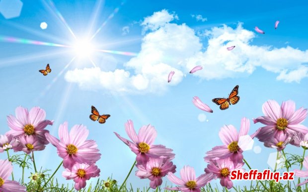 Sabah Azərbaycanda 32 dərəcə isti olacaq Sabah Azərbaycanda 32 dərəcə isti olacaq
