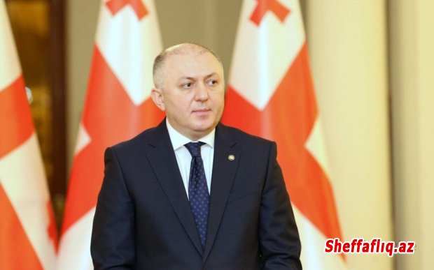 Gürcüstanın DTX rəhbəri istefa verib Gürcüstanın DTX rəhbəri istefa verib