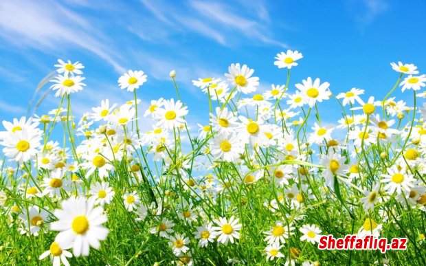 Sabah 30 dərəcə isti olacaq Sabah 30 dərəcə isti olacaq