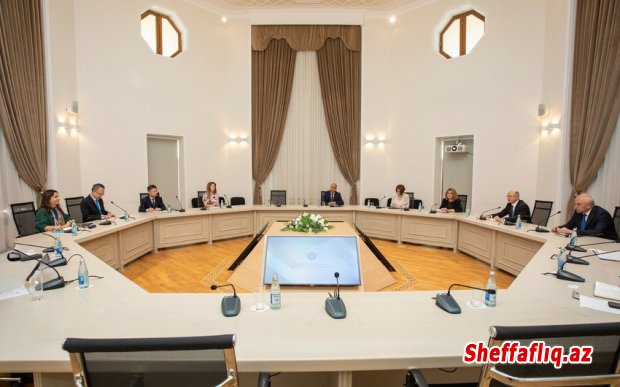 Azərbaycan ADB ilə təbii qaz layihələri üzrə əməkdaşlığı müzakirə edib