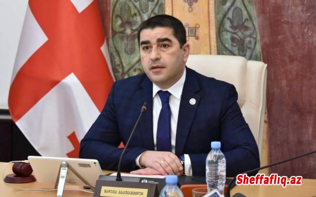 Papuaşvili Aİ səfirinə: Avropa maliyyəsi zorakılığa yönəlməməlidir