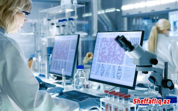 Azərbaycan Dövlət Neft və Sənaye Universitetində BP-nin dəstəyi ilə laboratoriya qurulacaq Azərbaycan Dövlət Neft və Sənaye Universitetində BP-nin dəstəyi ilə laboratoriya qurulacaq