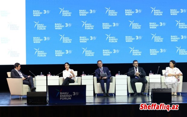 KOBİA Azərbaycanda sahibkarların "yaşıl keçid"də üzləşdiyi üç əsas maneəni açıqlayıb