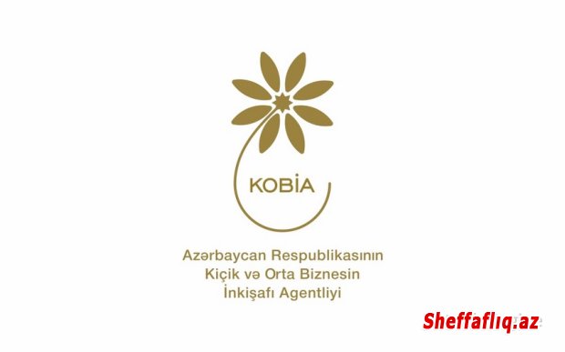 KOBİA auditor seçib