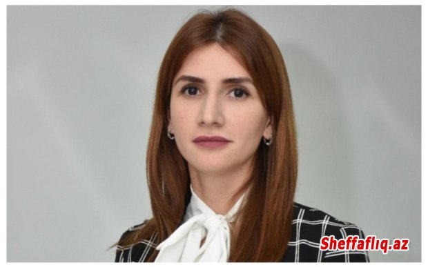 Məşğulluq Strategiyasının əsas hədəfləri və gözlənilən nəticələri açıqlanıb Məşğulluq Strategiyasının əsas hədəfləri və gözlənilən nəticələri açıqlanıb