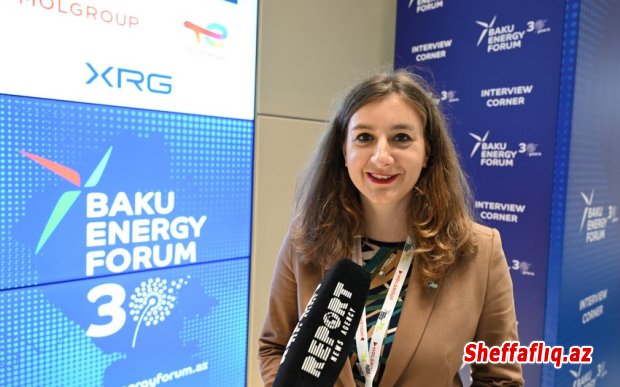 “M-Gaz": SOCAR ilə hibrid qazlaşdırma üzrə layihə Şimali Makedoniya və Albaniyaya genişləndirilə bilər - MÜSAHİBƏ “M-Gaz": SOCAR ilə hibrid qazlaşdırma üzrə layihə Şimali Makedoniya və Albaniyaya genişləndirilə bilər - MÜSAHİBƏ