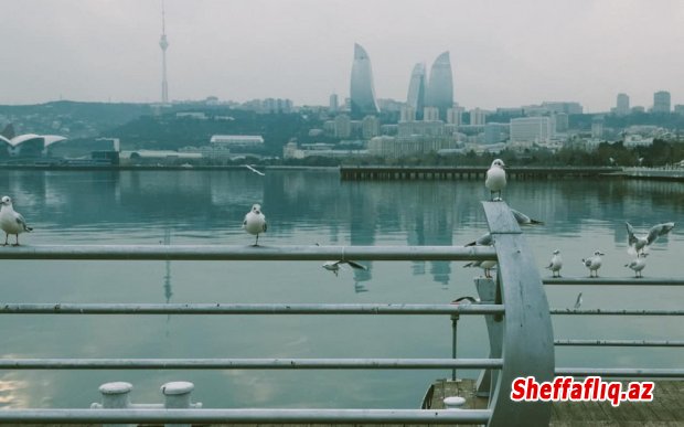 Dənizkənarı Milli Park ərazisində sudan meyit çıxarılıb